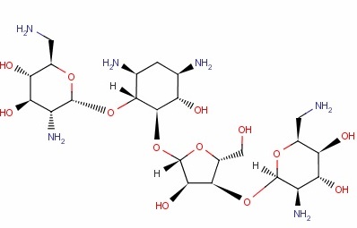 新霉素熒光檢測試紙條