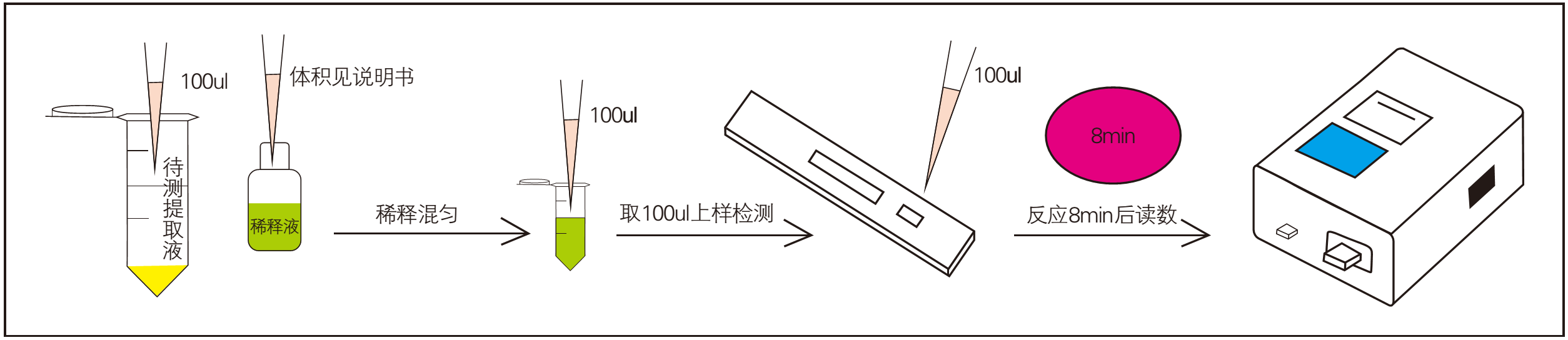 玉米赤霉烯酮快速檢測(cè)過程