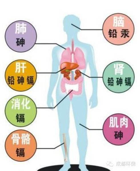 重金屬污染來源及危害